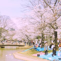 代々木公園でピクニックを楽しもう♬桜見れるかも🌸 - 世田谷区