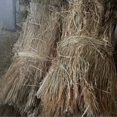 三田市でのお取引　藁　倉庫内で保管　農業　畑　