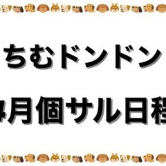 ちむドンドン4月日程