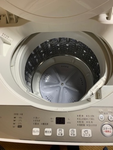 家電 生活家電 洗濯機
