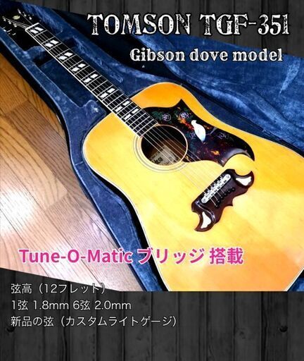 ◆希少◆ Tomson TGF-351 ★Gibson dove モデル ★