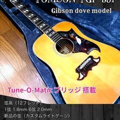 ◆希少◆ Tomson TGF-351 ★Gibson dove...