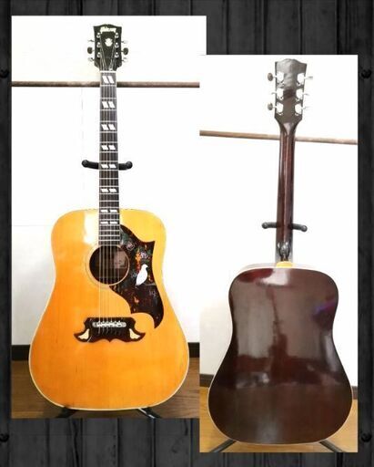 ◇希少◇ Tomson TGF-351 ☆Gibson dove モデル ☆ Yahoo!オークション