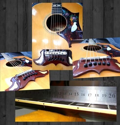 ◆希少◆ Tomson TGF-351 ★Gibson dove モデル ★