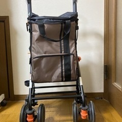 シルバーカー　幸和製作所　ディリートロリーSLM09 保証書、取説あり-L\'Appartement ロサンゼルスアパレル BIG T-sh