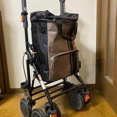 シルバーカー　幸和製作所　ディリートロリーSLM09 保証書、取説あり-L\'Appartement ロサンゼルスアパレル BIG T-sh