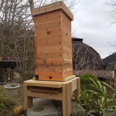 ニホンミツバチ 重箱式5段巣箱と巣箱台