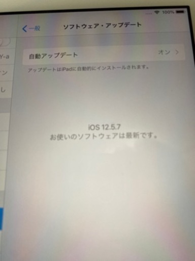 その他 iPad mini2