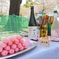 お花見🌸乾杯🥂の画像