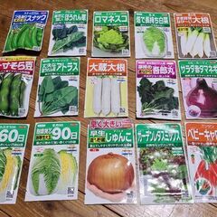 野菜の種(15種類シリーズ)ジモティー感謝祭第３段　無料で差し上...
