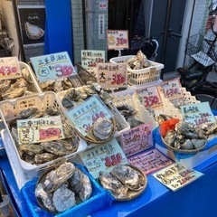 北海道活け大ズワイガニ¥1980！旬の貝専門店だいきちです！ - 大阪市
