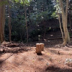 キャンプ場作りのお手伝いの募集です🏕雨天は中止です☔️