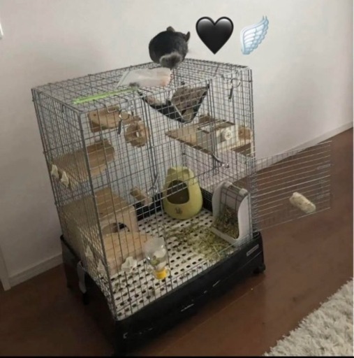 小動物用ケージ　(写真にある物だいたい全部です。)