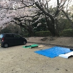 3月31日、日曜日、防府市の桑の山公園で花見🌸しませんか⁉️ - メンバー募集