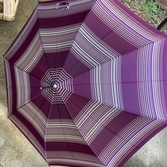 女性用傘
