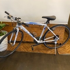 【FUJI】sparrow a2 480mm