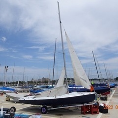 ASK お問い合わせください 快速ヨット エリオット7