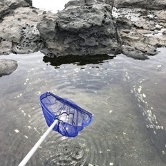 久喜市付近でガサガサができる場所