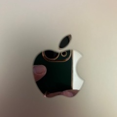 iPadPro12.9 5世代256GB