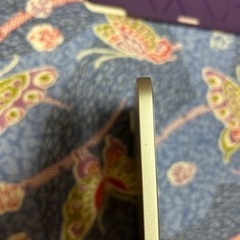 iPadPro12.9 5世代256GB