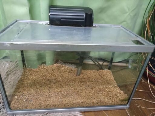 中古40センチ水槽