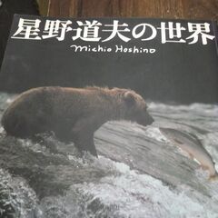 星野道夫の世界 [jp_oversized_book] 朝日新聞...