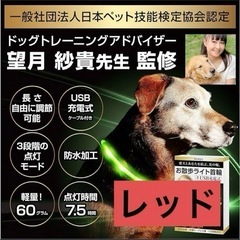 犬猫工房 光る首輪 犬 散歩 光る ライト 首輪 犬の散歩用ライ...