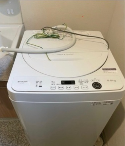 家電 生活家電 洗濯機