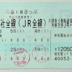 青春18きっぷ　2回分 2024 春　鉄道切符