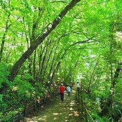 【北本市】🌳森 × ヨガ🌳