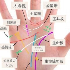 貴方をプロの占い師にします