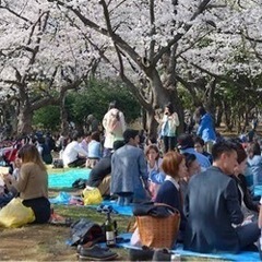 😊🌸🍡桜ノ宮でお花見😊🌸🍡春を楽しみませんか🥰