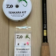 【新品未使用】ダイワ テンカラキット