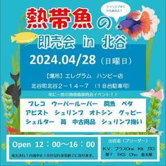 たくさんのご来場、有り難うございました_(._.)_🔥熱帯魚即売...