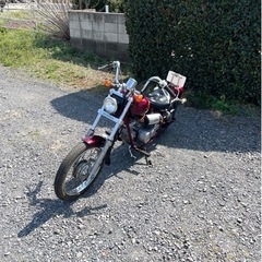761. 動画あり ホンダ ジャズ JAZZ 自賠責付 原付 バイク 50cc 車体