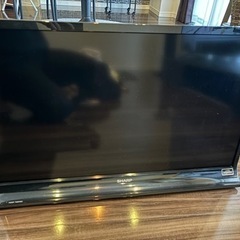 液晶テレビ LC-32J9