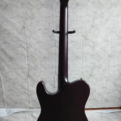 Schecter JOL Series アコースティックギター Schecter エレキアコースティックギター Jol Series