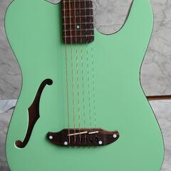 Schecter エレキアコースティックギター Jol Series