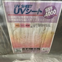 UV シート