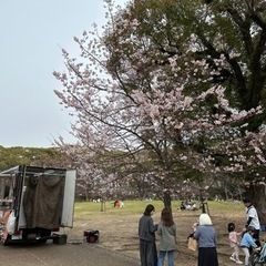 お花見🌸堀之内公園