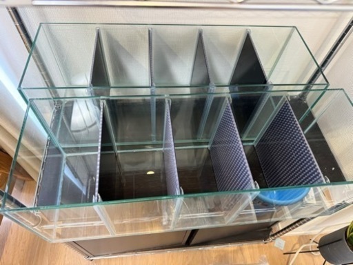 GLASIA ベタ水槽 BA－600（ガラス厚5mmタイプ）（60