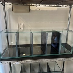 GLASIA ベタ水槽 BA－600（ガラス厚5mmタイプ）（60