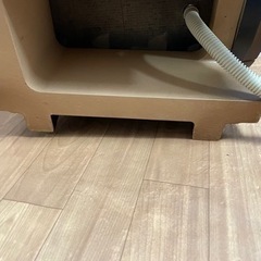 生ビール　ビールサーバー