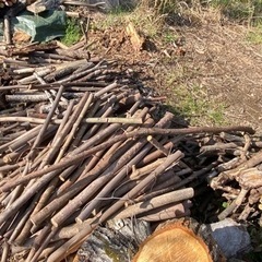 未乾燥　広葉樹枝　キャンプ・薪ストーブの焚き付けとして