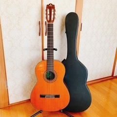 【決まりました】TAKEHARU ガットギター