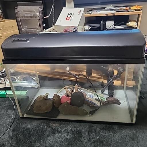 60cmセット　水槽+水槽台セット