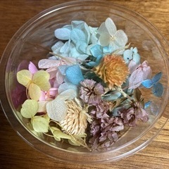 ドライフラワー　花材