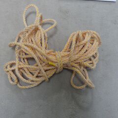 【3月中】ロープ（約20m）