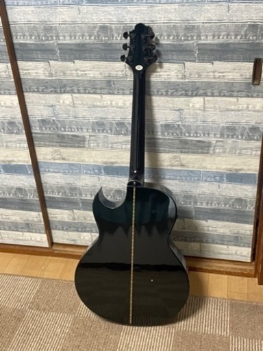 楽器 弦楽器、ギター インドのスライド・ギター モハーンヴィーナ の