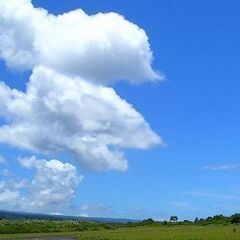 ◆独身の方対象のイベント【企画運営にご興味ある方向け】説明会